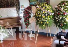 Piloto que fue gravemente herido por avioneta, muere tras pasar 43 días en agonía Piloto que fue gravemente herido por avioneta, muere tras pasar 43 días en agonía