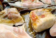 Desarrollan lanzamiento «Festival Sabores de mi Patria» en Ometepe Desarrollan lanzamiento "Festival Sabores de mi Patria" en Ometepe