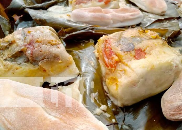 1 Desarrollan lanzamiento