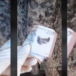 ¿Regalan dinero? Aparece misterioso TikTok: The Money Game Nicaragua ¿Regalan dinero? Aparece misterioso TikTok: The Money Game Nicaragua