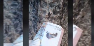 ¿Regalan dinero? Aparece misterioso TikTok: The Money Game Nicaragua