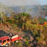 ¡Emergencia! provocan voraz incendio en Amazonas Brasil
