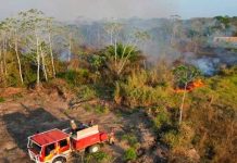 ¡Emergencia! provocan voraz incendio en Amazonas Brasil