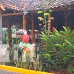 Destinos turísticos y sus promociones listos en este fin de semana largo en Nandaime Destinos turísticos y sus promociones listos en este fin de semana largo en Nandaime