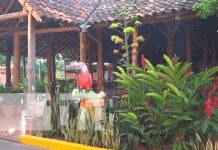 Destinos turísticos y sus promociones listos en este fin de semana largo en Nandaime Destinos turísticos y sus promociones listos en este fin de semana largo en Nandaime