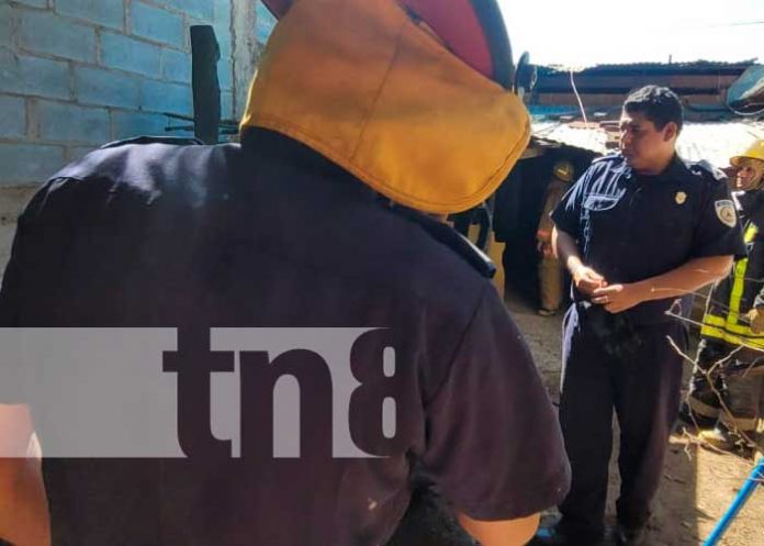 Una quema de basura casi termina en un incendio en Granada