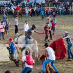 Celebran las fiestas patrias con corridas de toro en Juigalpa, Chontales Foto: Celebran las fiestas patrias con corridas de toro en Juigalpa, Chontales / TN8