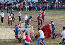 Celebran las fiestas patrias con corridas de toro en Juigalpa, Chontales Foto: Celebran las fiestas patrias con corridas de toro en Juigalpa, Chontales / TN8