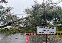 Foto: Regiones de EE.UU y Canadá son afectados por la tormenta Lee/Cortesía