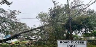 Foto: Regiones de EE.UU y Canadá son afectados por la tormenta Lee/Cortesía