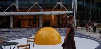 Foto: "Si estas en busca de ¡Enormes huevos! los encuentras en Brasil"/Cortesía