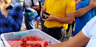 'Fresinika' la nueva sensación en Managua que hasta hacen largas filas para comprarla