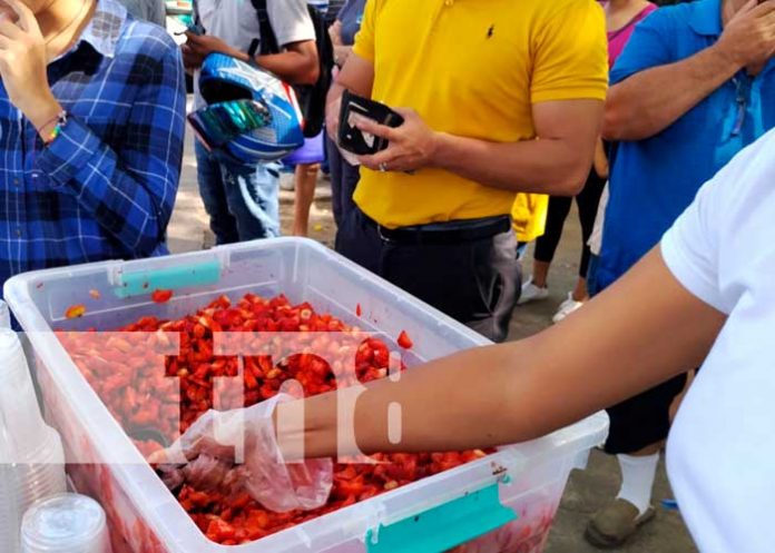 'Fresinika' la nueva sensación en Managua que hasta hacen largas filas para comprarla