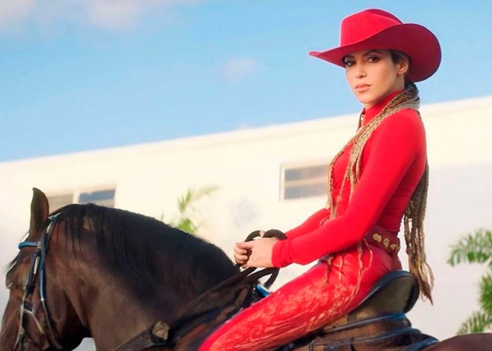 Shakira se lleva entre las 