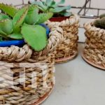 Gobierno de Nicaragua impulsa a las familias emprendedoras de Masatepe Gobierno de Nicaragua impulsa a las familias emprendedoras de Masatepe