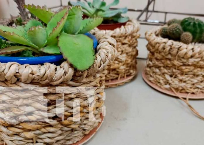 1 Gobierno de Nicaragua impulsa a las familias emprendedoras de Masatepe