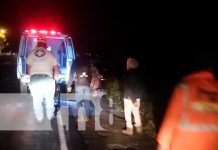Un perro mandó al hospital a un motorizado en Diriomo Un perro mandó al hospital a un motorizado en Diriomo