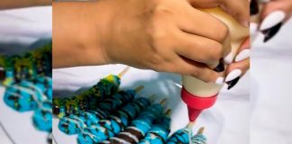 "Fruit with chocolate" La visión nueva de Cocholiss