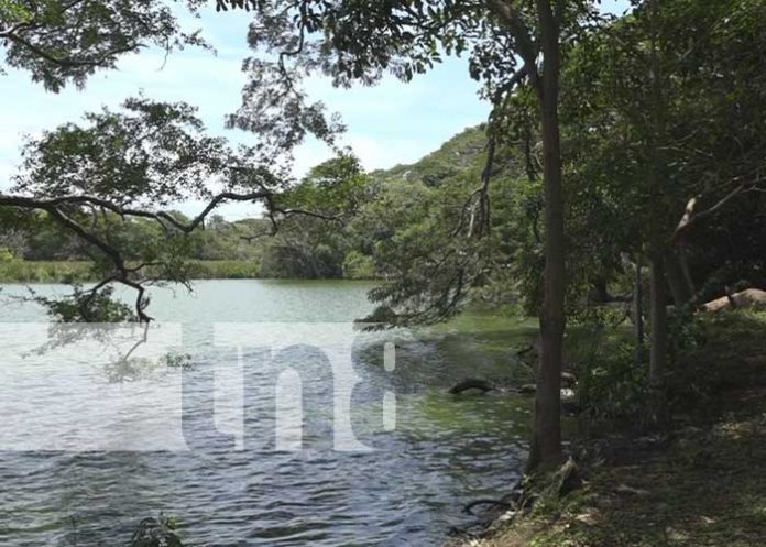 Foto: Las plazuelas, una maravilla de nuestra naturaleza en Nandaime / TN8