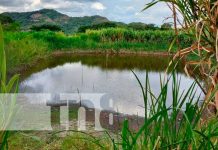 Foto: Cosecha de Agua: Transformando la vida en el Norte de Nicaragua / TN8