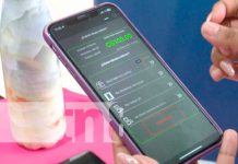 Emprendedores Nicaragüenses conocen más sobre beneficios alternativos tecnológicos Foto: Emprendedores Nicaragüenses conocen más sobre beneficios alternativos tecnológicos/TN8