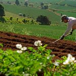 «Innovación y Tecnología: Claves del éxito Agropecuario en Nicaragua» Foto: "Innovación y Tecnología: Claves del éxito Agropecuario en Nicaragua" / TN8