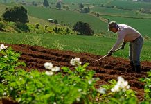 Lo más destacado de este domingo 24 de septiembre 2023 Foto: "Innovación y Tecnología: Claves del éxito Agropecuario en Nicaragua" / TN8
