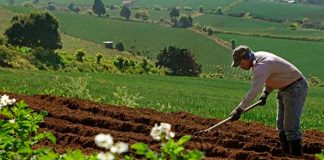 Foto: "Innovación y Tecnología: Claves del éxito Agropecuario en Nicaragua" / TN8