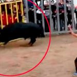 Foto: Muere hombre en España /cortesía