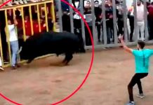 Foto: Muere hombre en España /cortesía