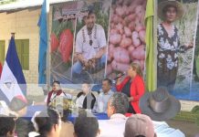 Productores de Miraflor en Estelí cuentan con un centro tecnológico Foto: Productores de Miraflor en Estelí cuentan con un centro tecnológico / TN8