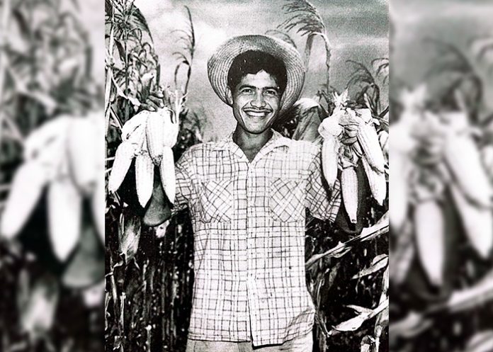 El Maíz en la Gastronomía Nicaragüense