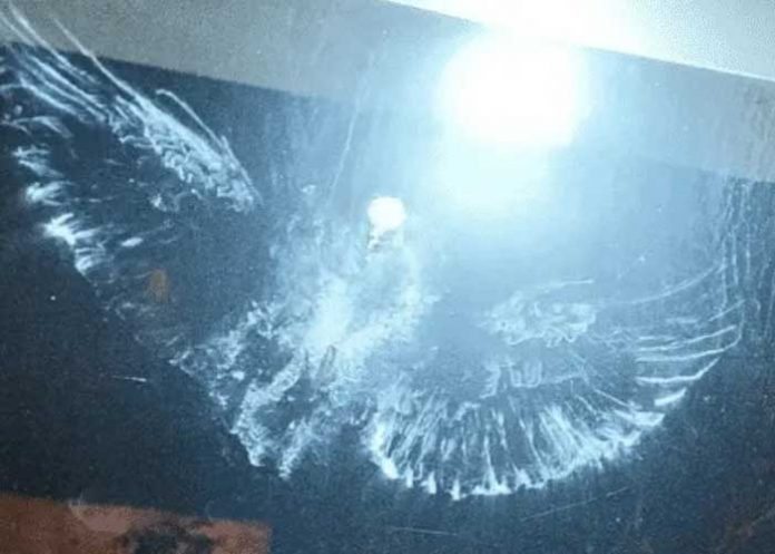 Viral: Aseguran que el 