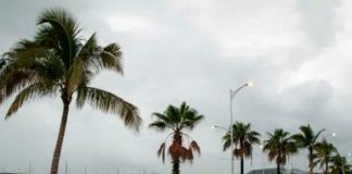 Foto: Huracán Jova sobrepasa sus limites y arrasa atroz impacto en México / cortesía