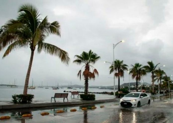 2 Foto: Huracán Jova sobrepasa sus limites y arrasa atroz impacto en México / cortesía