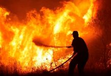 25 migrantes atrapados en el incendio forestal en Grecia son rescatados 25 migrantes atrapados en el incendio forestal en Grecia son rescatados
