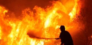25 migrantes atrapados en el incendio forestal en Grecia son rescatados