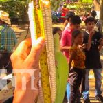 XII Feria del Maíz en Macuelizo, haciéndole honor a una tradición ancestral