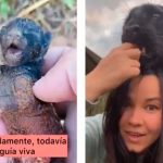 Mujer rescata a un 'Gatito' y descubre que es una pantera negra (video)