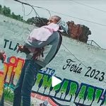 «Linda prenda» Descarada viste a su perrito de bebé para pedir dinero "Linda prenda" Descarada viste a su perrito de bebé para pedir dinero