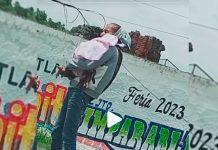 «Linda prenda» Descarada viste a su perrito de bebé para pedir dinero "Linda prenda" Descarada viste a su perrito de bebé para pedir dinero