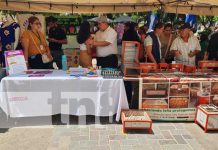 Foto: Emprendedores participaron de la grandiosa feria en la Ciudad de León/TN8