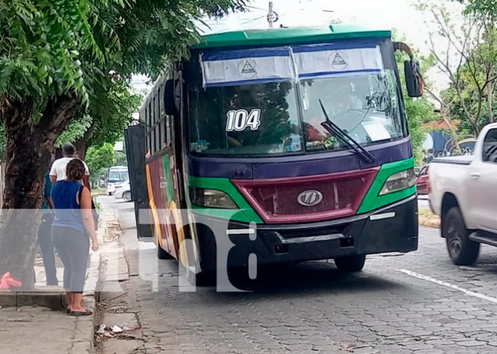 Busero arranca oreja a conductor de vehículo en violenta pelea en Managua