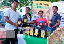Éxito Cafetalero: Nicaragua Celebra su Expoferia Anual del Café en Somoto Foto: Éxito Cafetalero: Nicaragua Celebra su Expoferia Anual del Café en Somoto/TN8