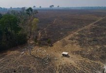 Brasil enfrenta la segunda peor sequia de la historia en Amazonas Foto: Brasil en alerta extrema /cortesía