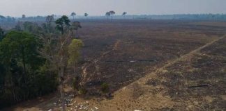 Foto: Brasil en alerta extrema /cortesía