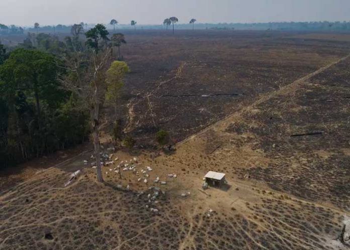 Foto: Brasil en alerta extrema /cortesía