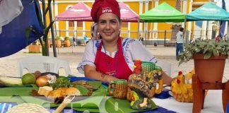 Foto: Granada lista para el Festival Nacional Sabores de Mi Tierra: Patria Bendita / TN8