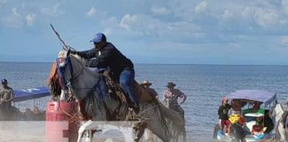 Foto: Granada despide sus fiestas con exitoso "Festival Ecuestre" / TN8