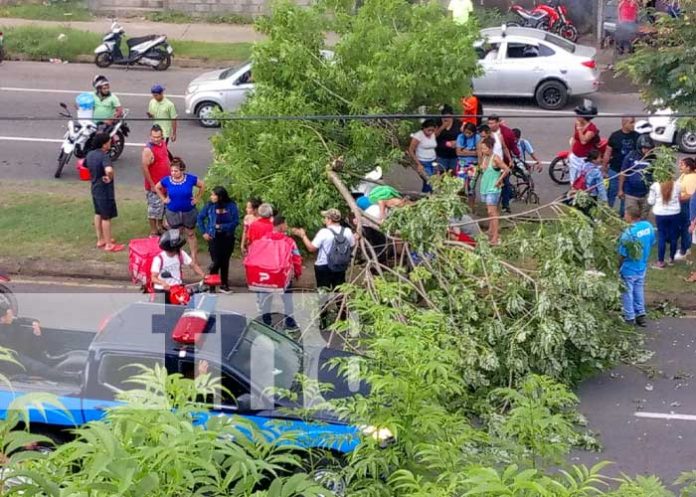 2 Foto: Peatón muere tras ser impactado por un carro en Pista Suburbana / TN8